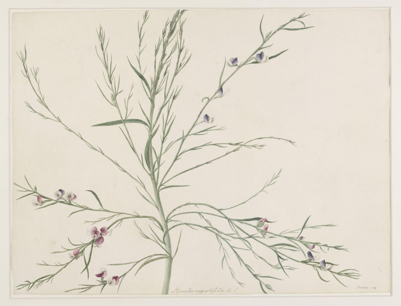 Drawing, A. Power, ca. 1800