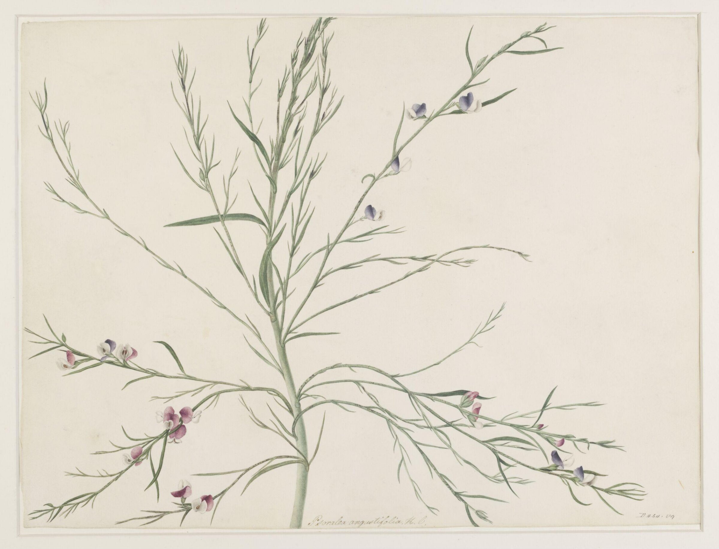 Drawing, A. Power, ca. 1800