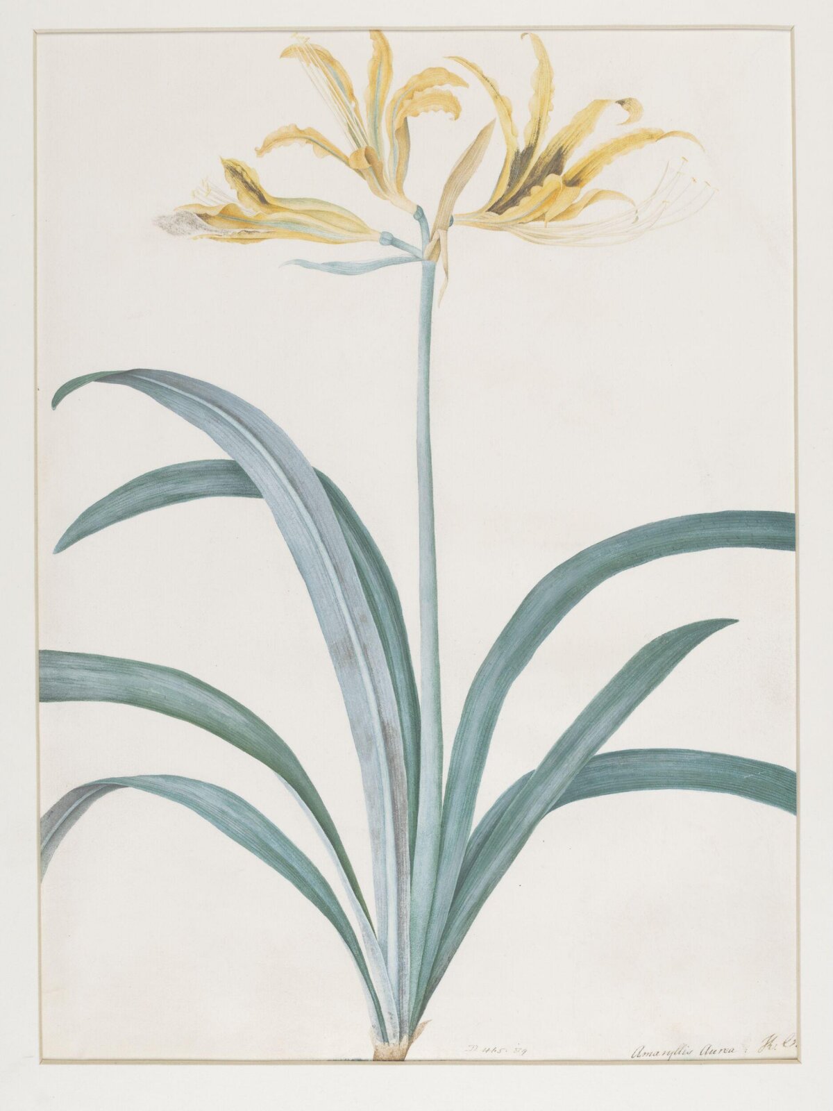 Drawing, A. Power, ca. 1800