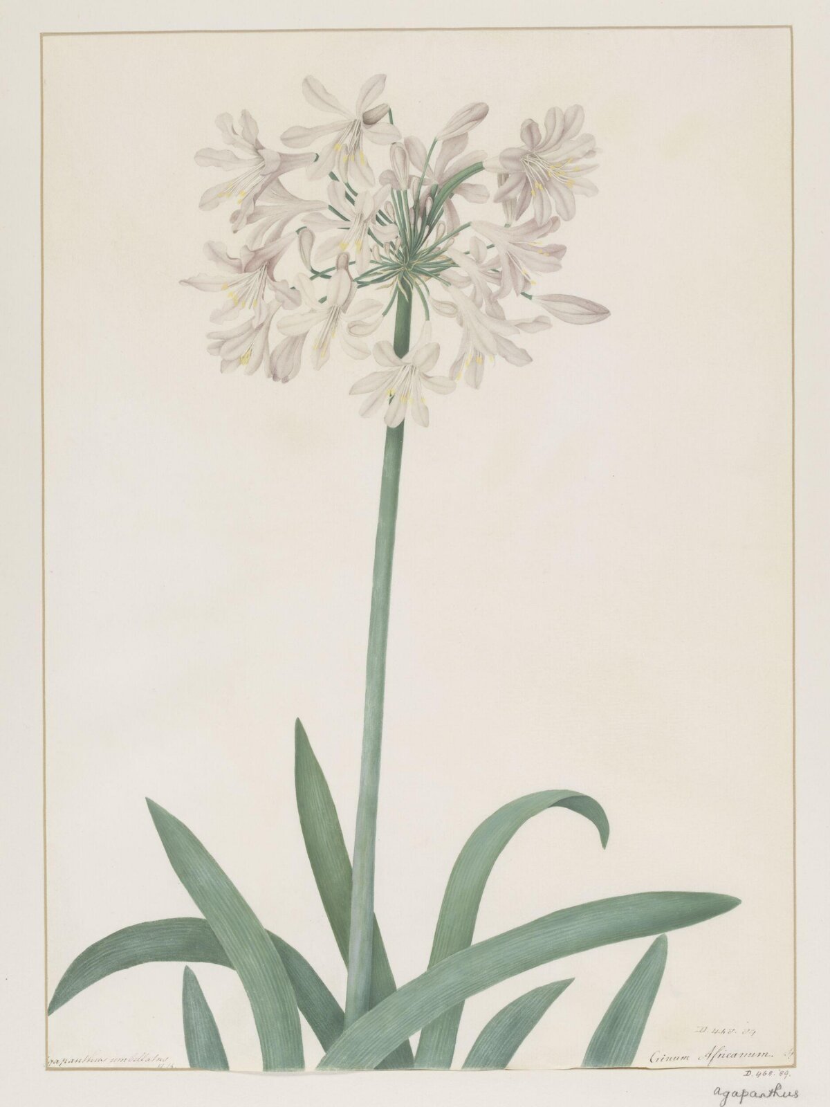 Drawing, A. Power, ca. 1800