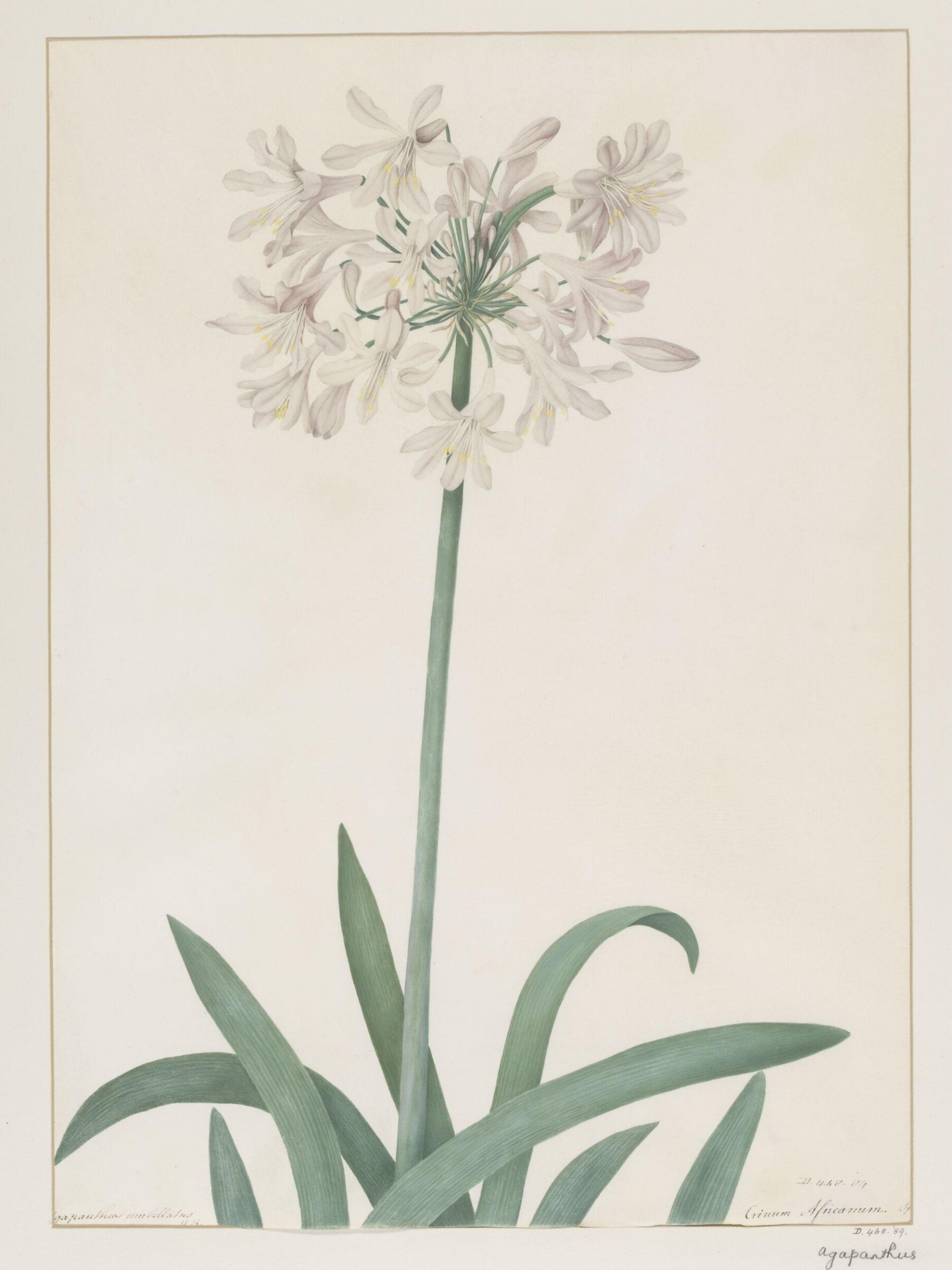 Drawing, A. Power, ca. 1800
