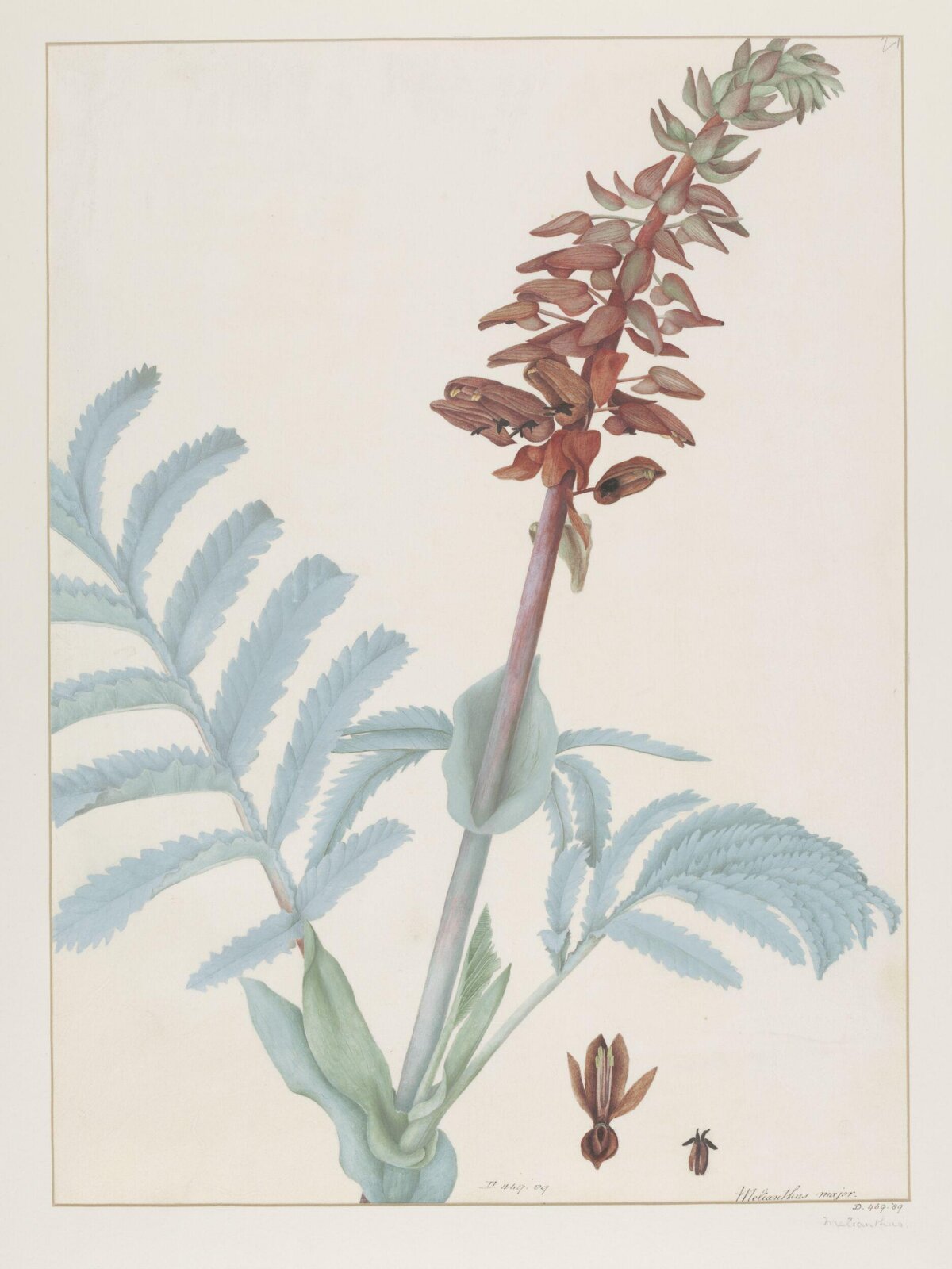 Drawing, A. Power, ca. 1800