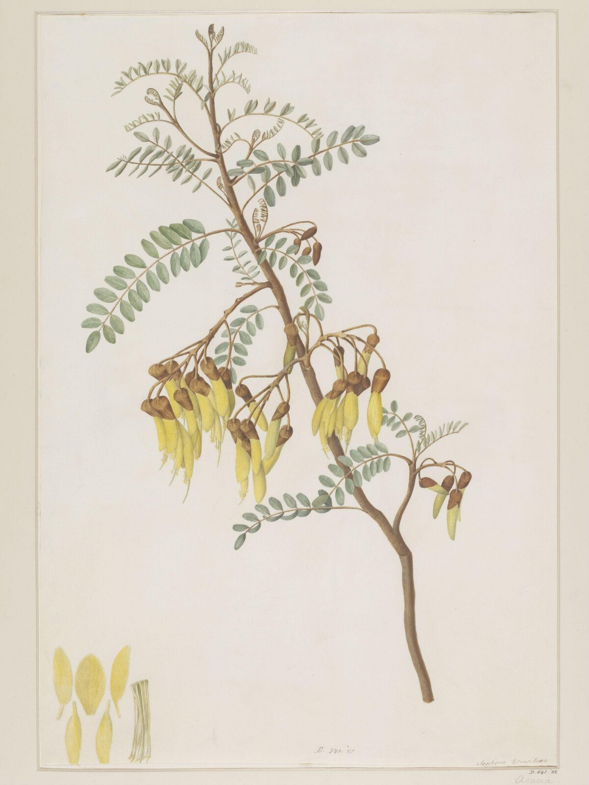 Drawing, A. Power, late 18th century - early 19th century