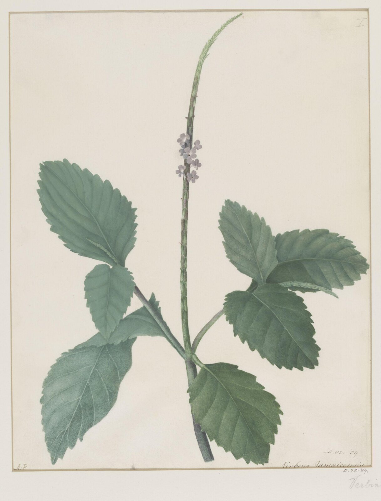 Drawing, A. Power, ca. 1800