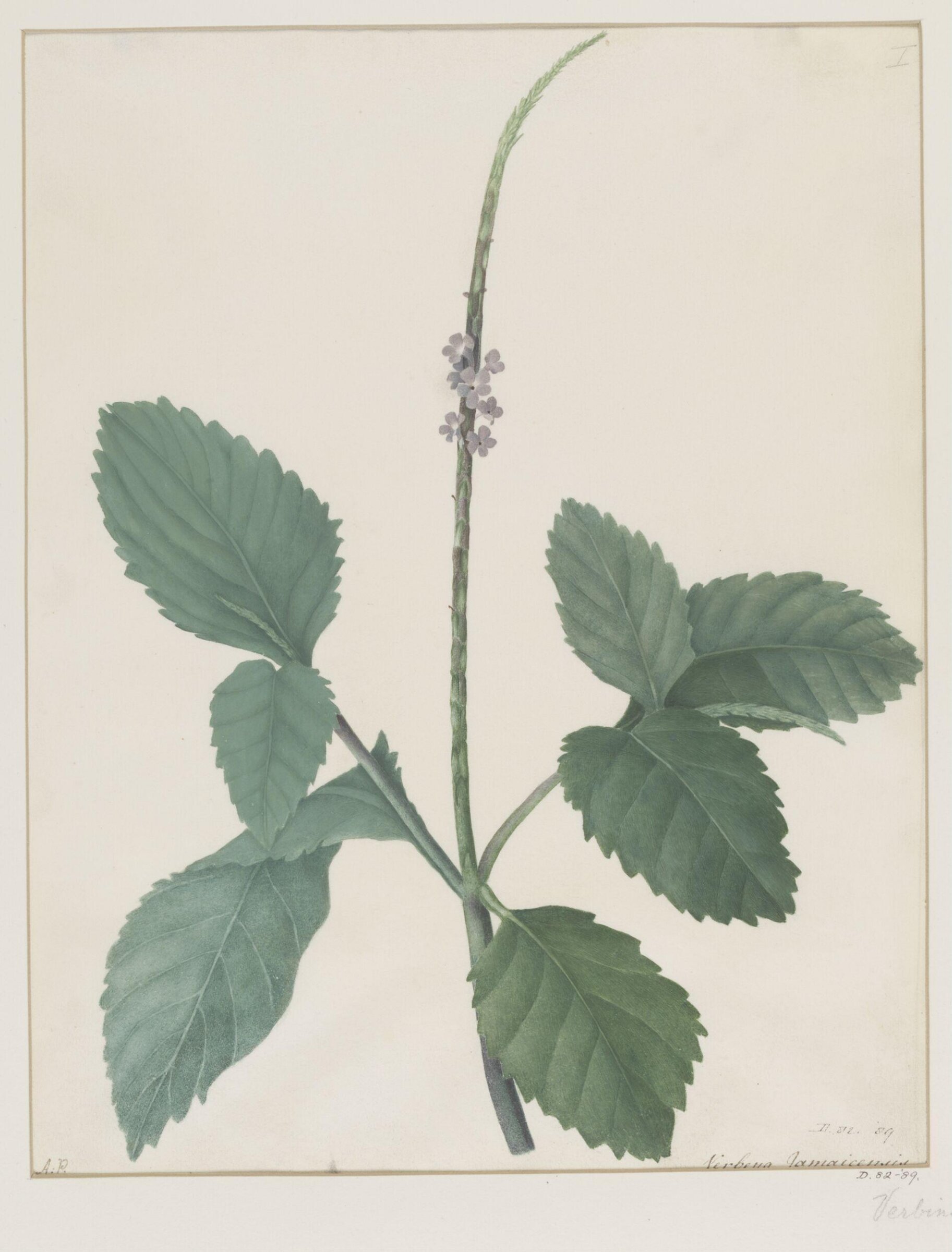 Drawing, A. Power, ca. 1800