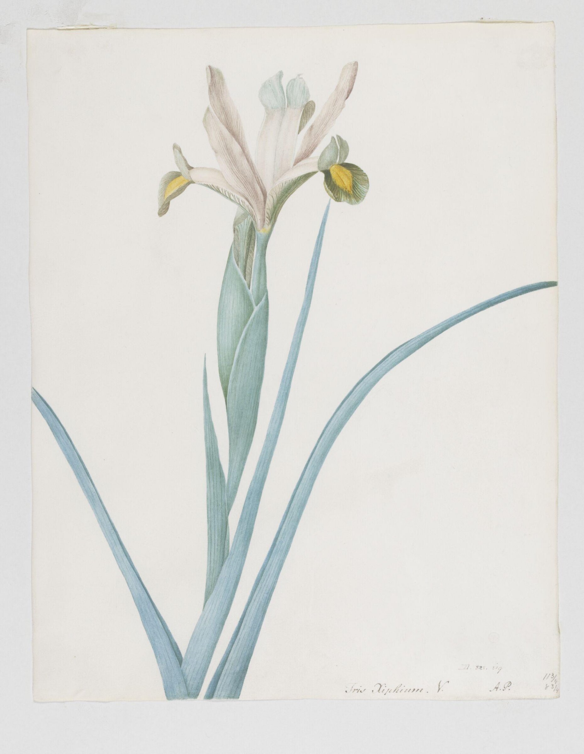 Drawing, A. Power, ca. 1800
