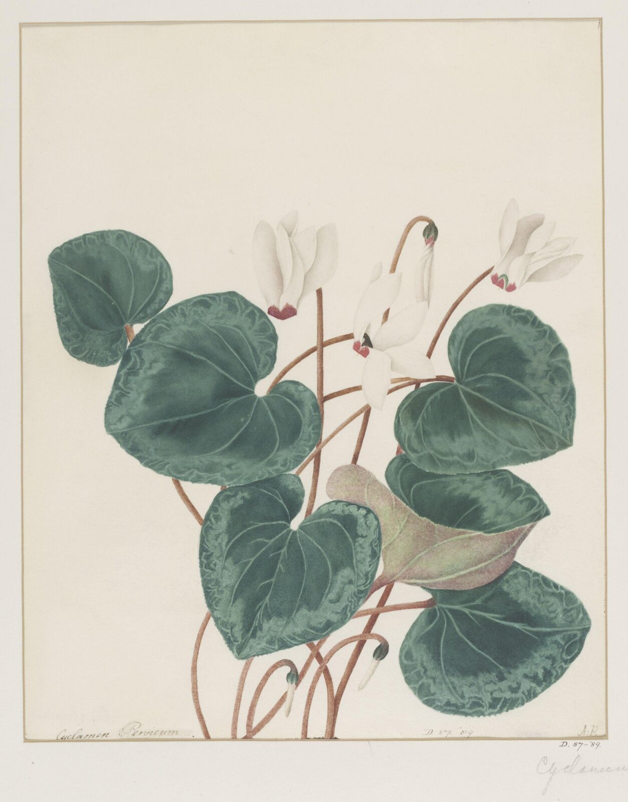 Drawing, A. Power, ca. 1800