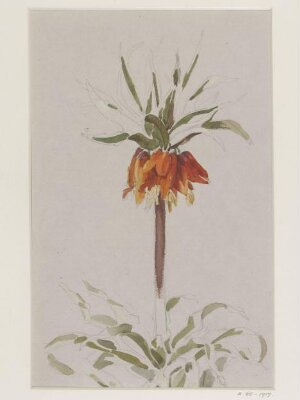 Drawing, Charlotte Horn Spiers, 1873-1914