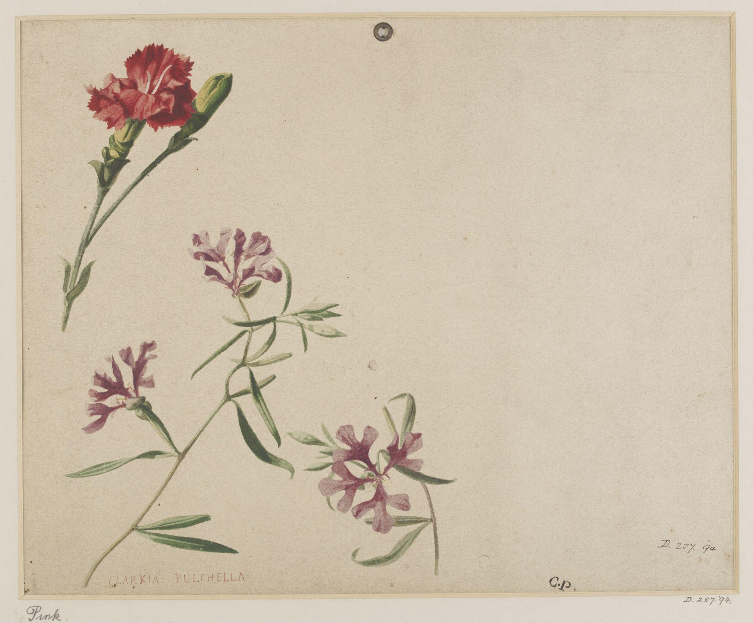 Drawing, Charles Polisch, ca. 1845