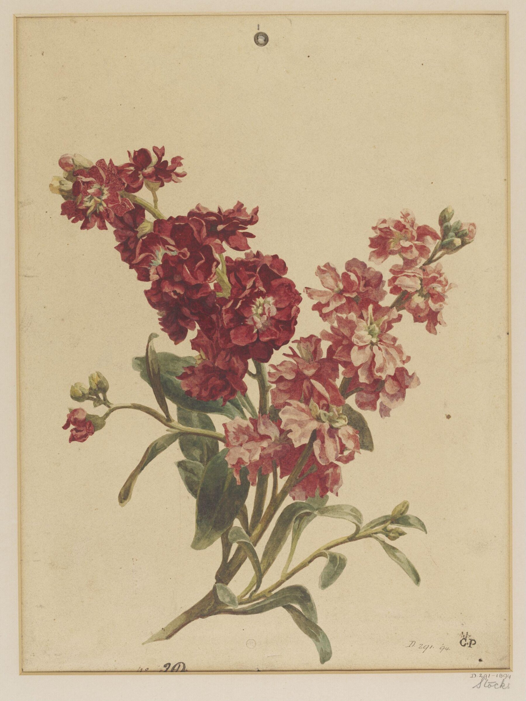 Drawing, Charles Polisch, ca. 1845