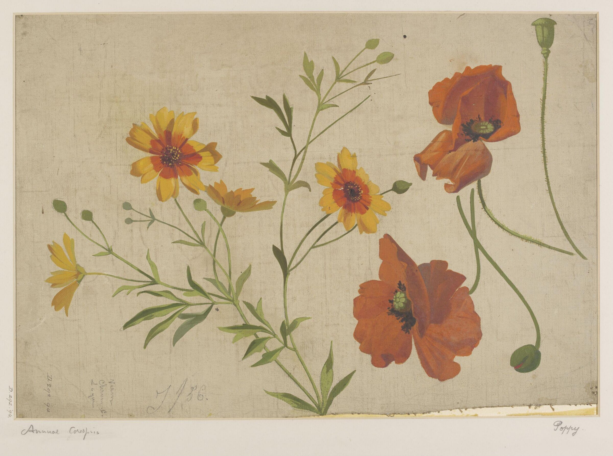 Drawing, Charles Polisch, ca. 1845