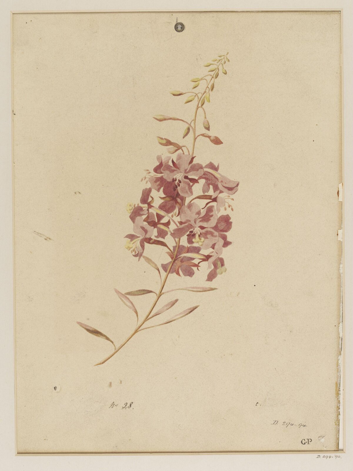 Drawing, Charles Polisch, ca. 1845