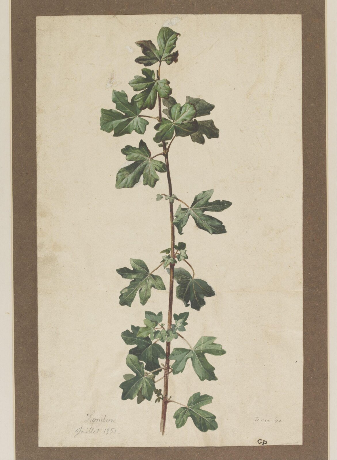Drawing, Charles Polisch, July 1851