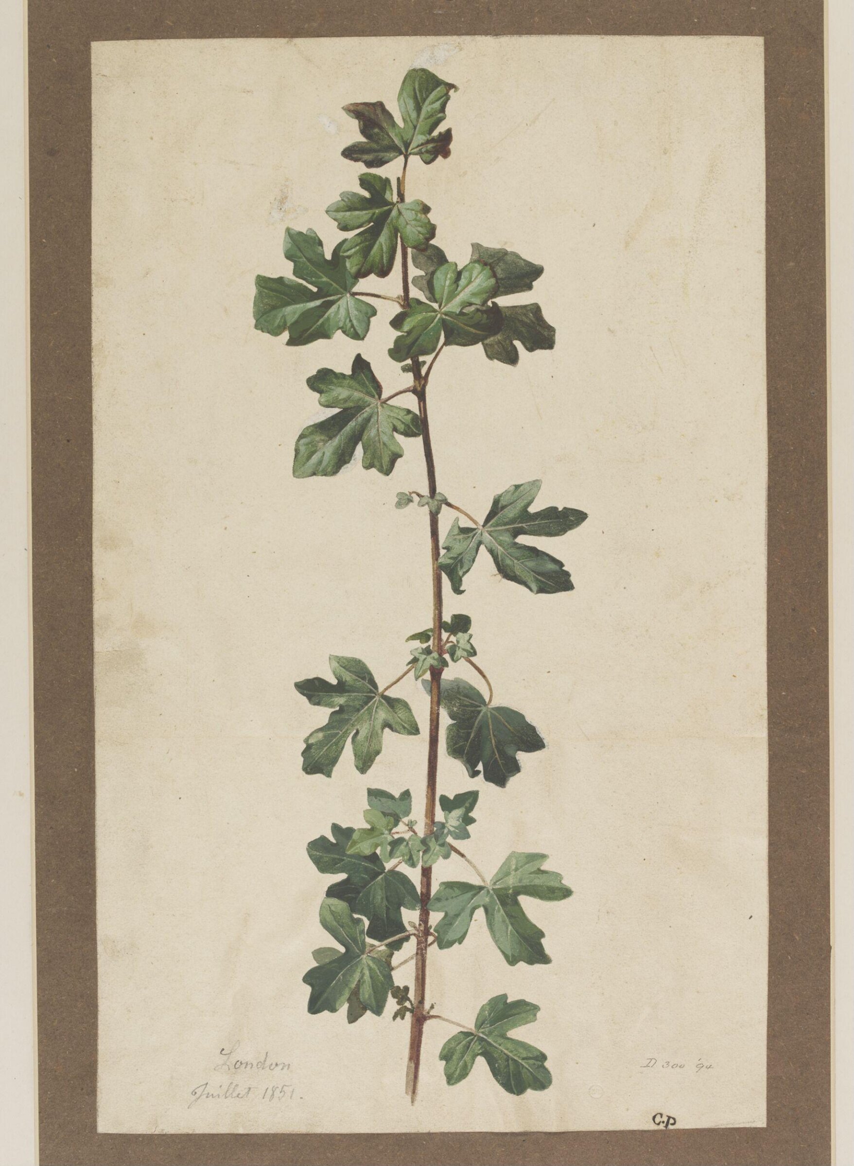 Drawing, Charles Polisch, July 1851