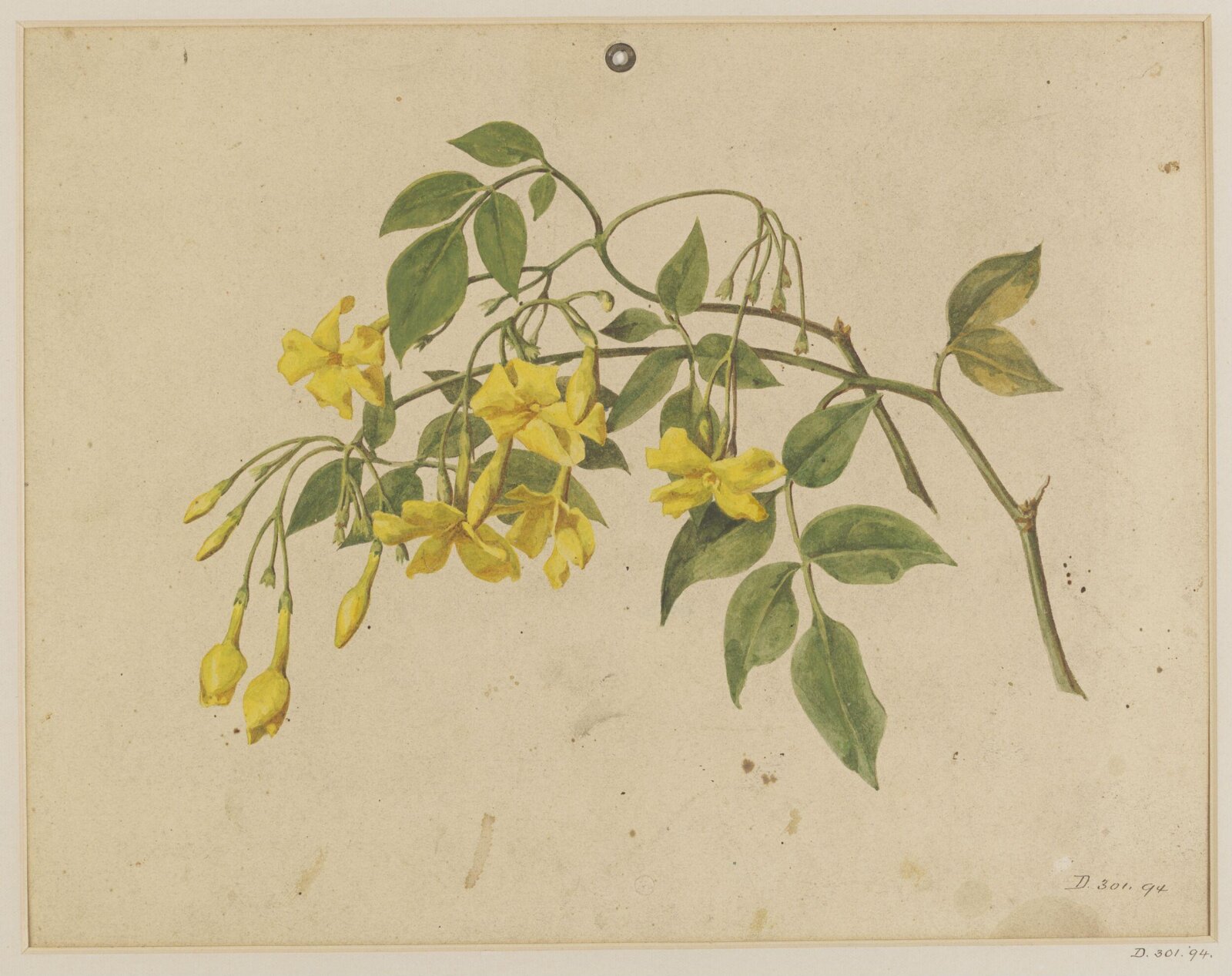 Drawing, Charles Polisch, ca. 1845