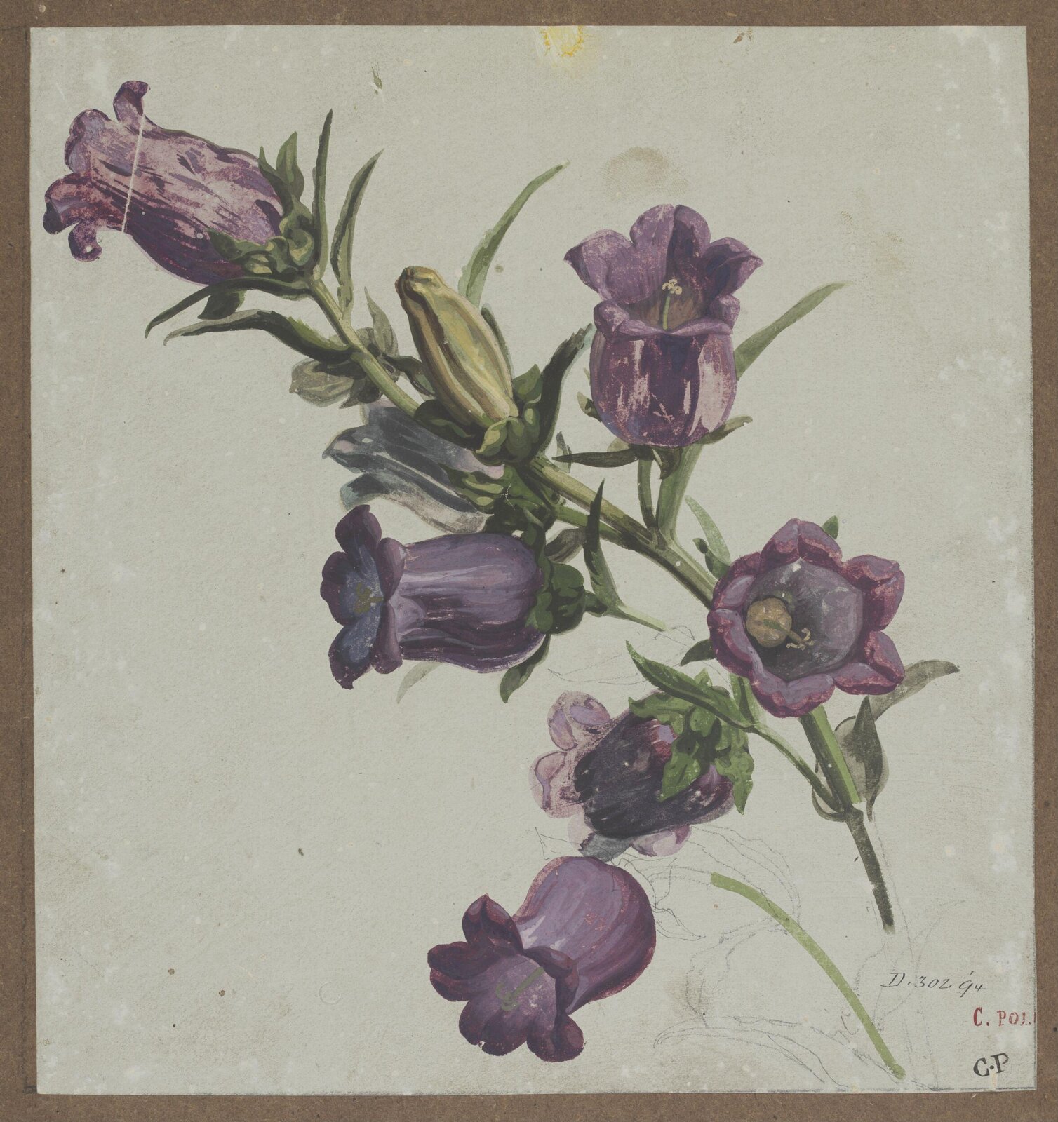 Drawing, Charles Polisch, ca. 1845