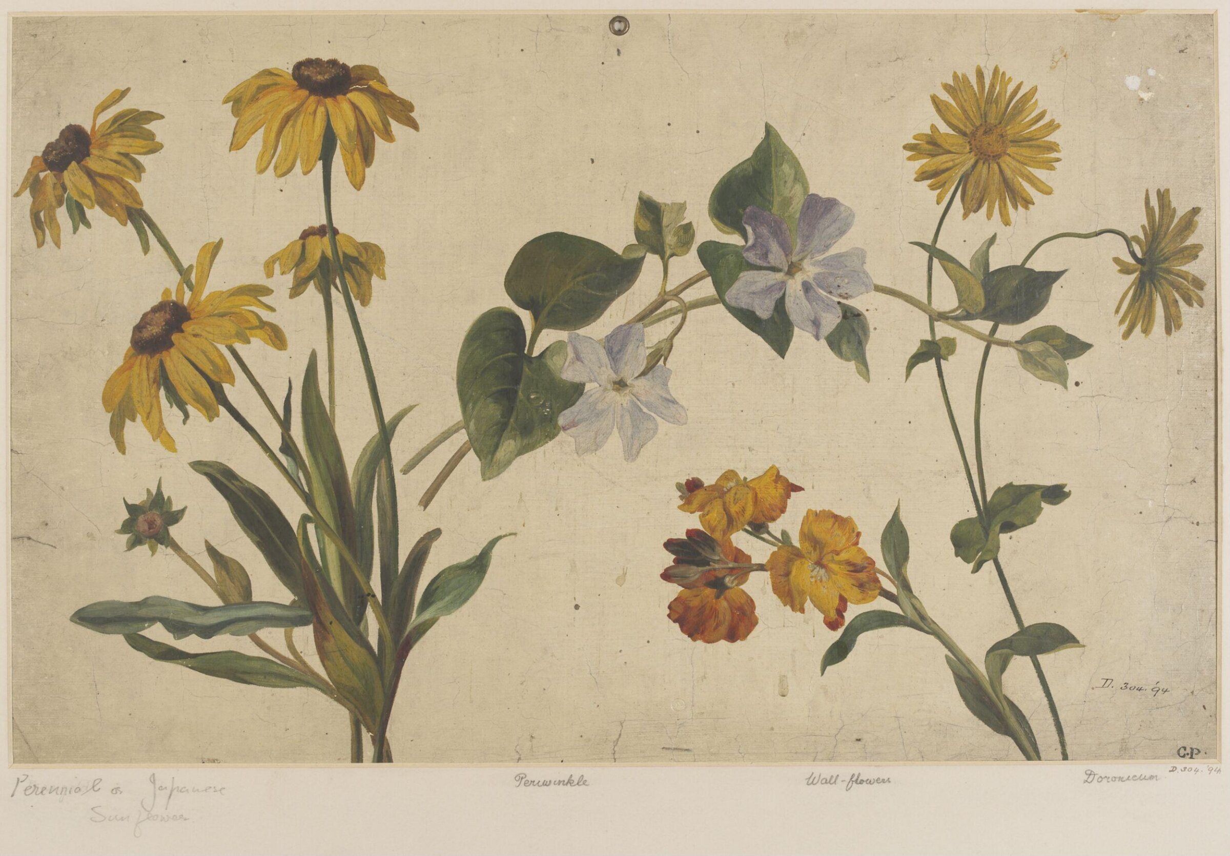 Drawing, Charles Polisch, ca. 1845