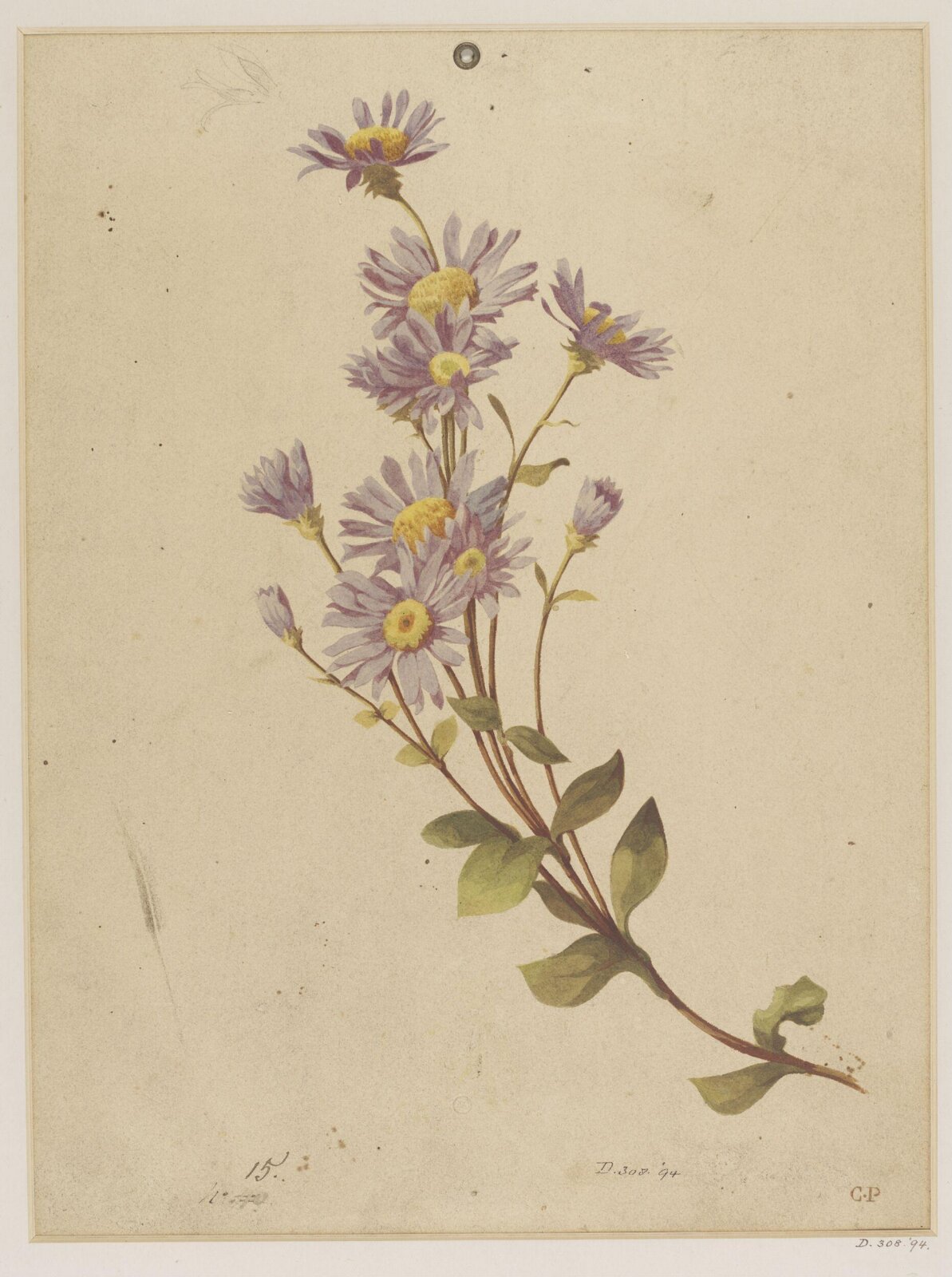 Drawing, Charles Polisch, ca. 1845