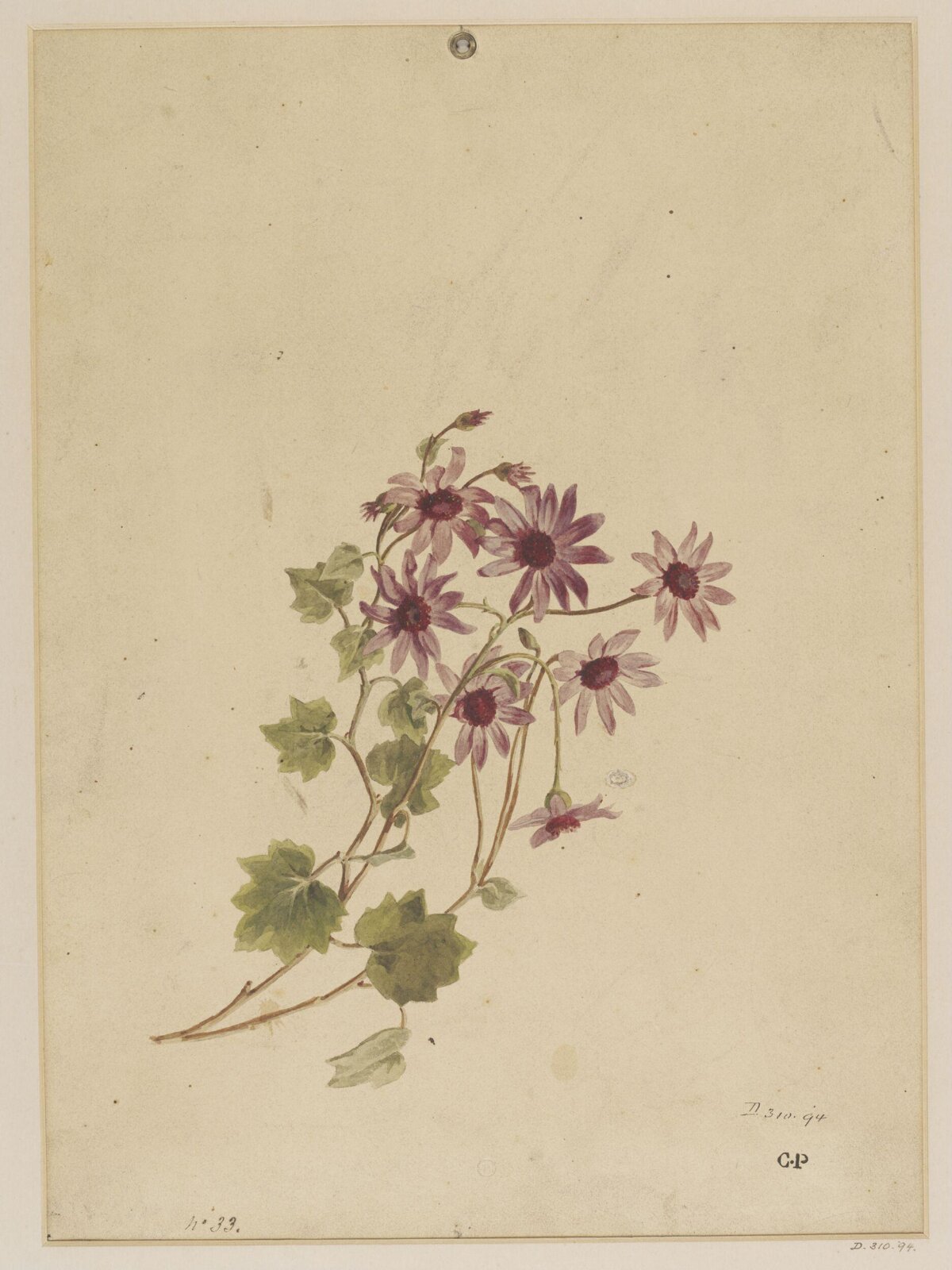 Drawing, Charles Polisch, ca. 1845