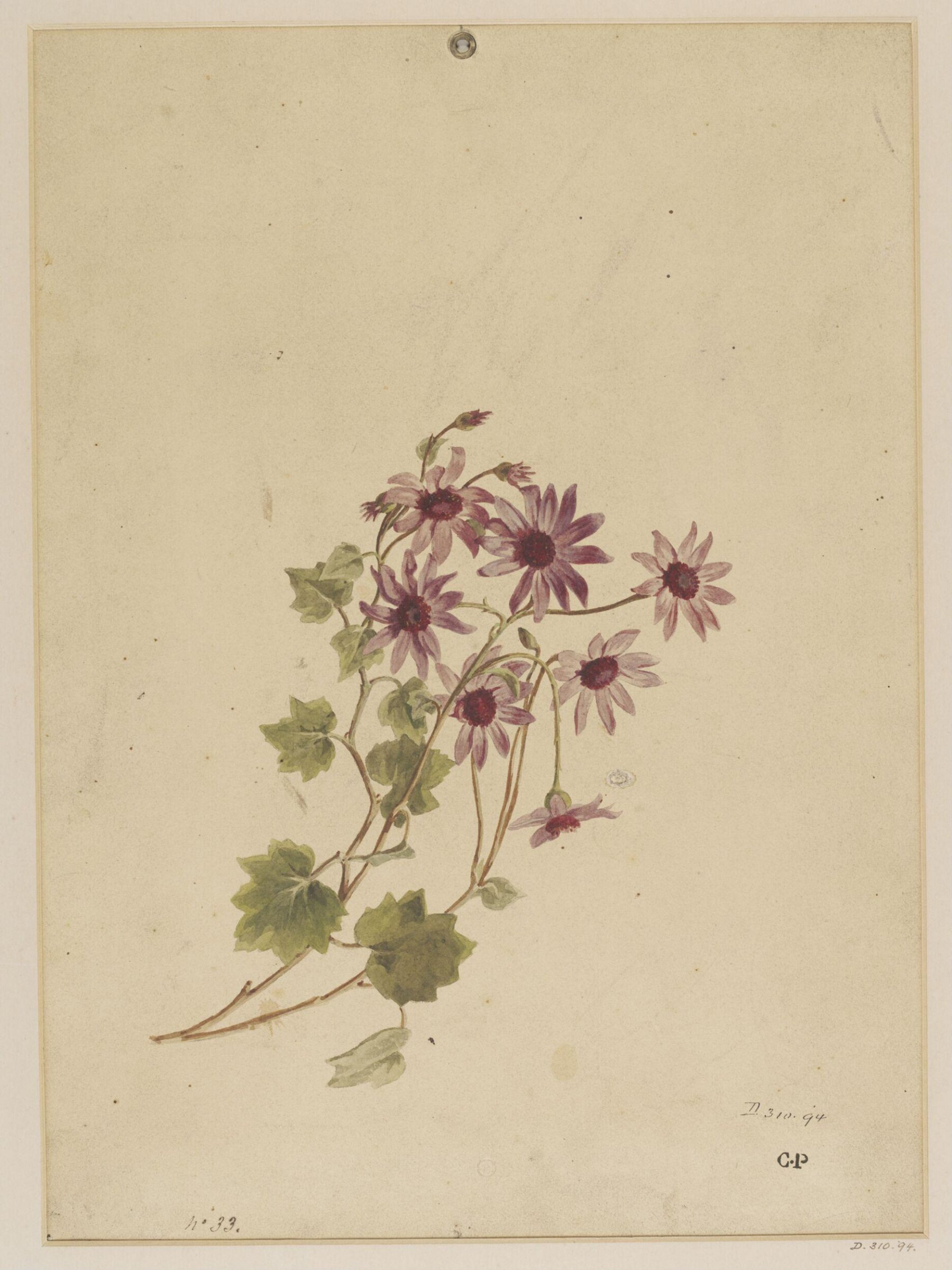 Drawing, Charles Polisch, ca. 1845