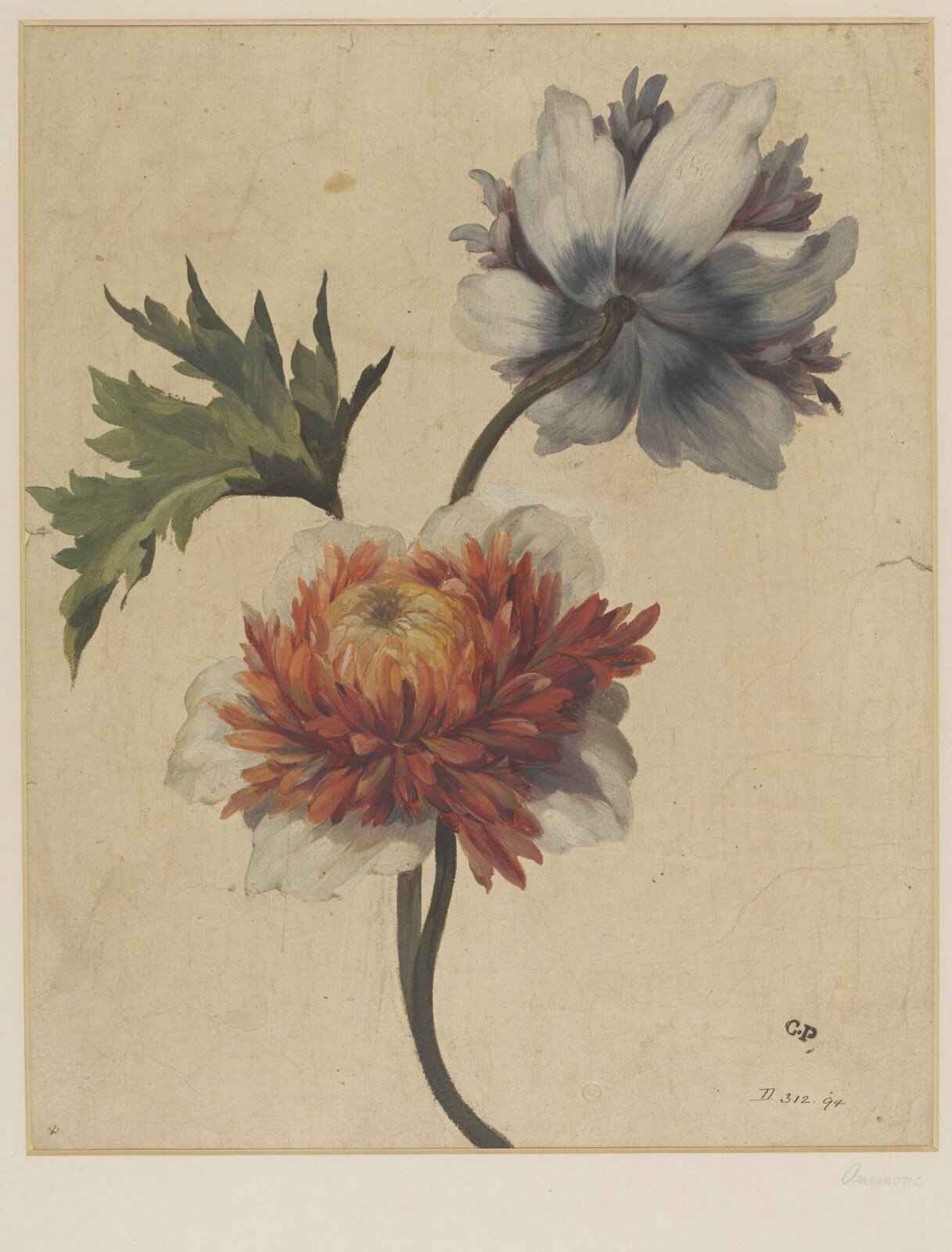 Drawing, Charles Polisch, ca. 1845