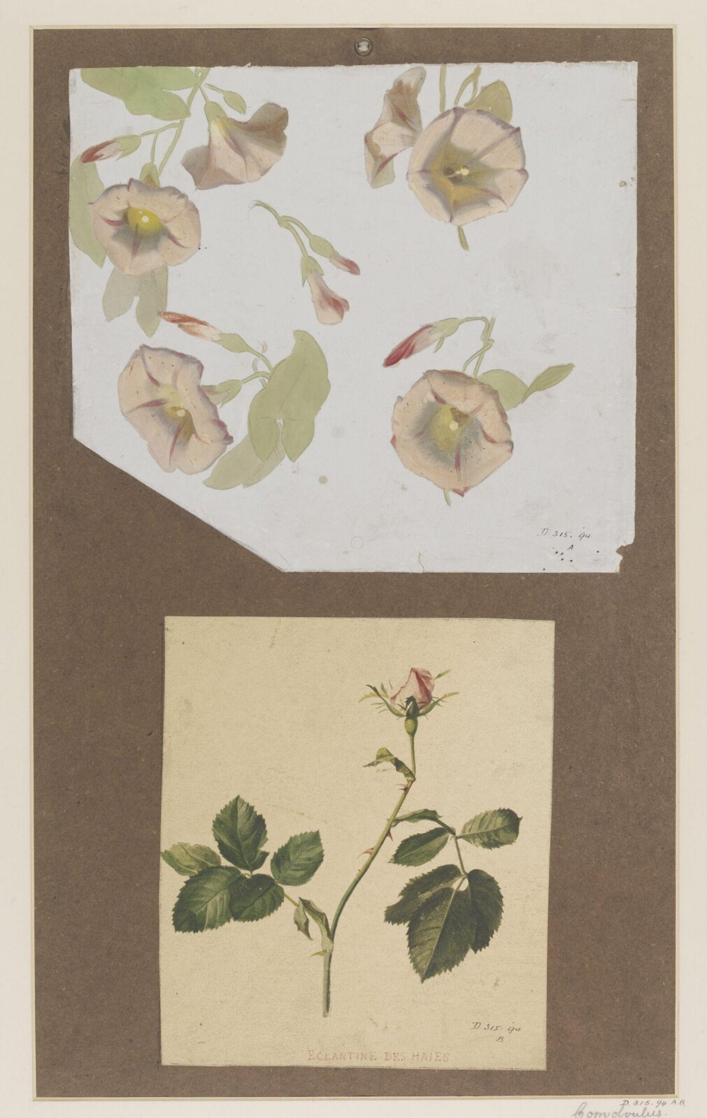 Drawing, Charles Polisch, ca. 1845