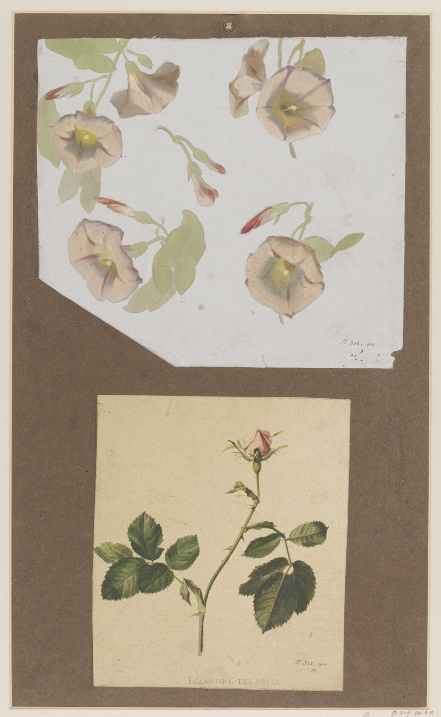 Drawing, Charles Polisch, ca. 1845
