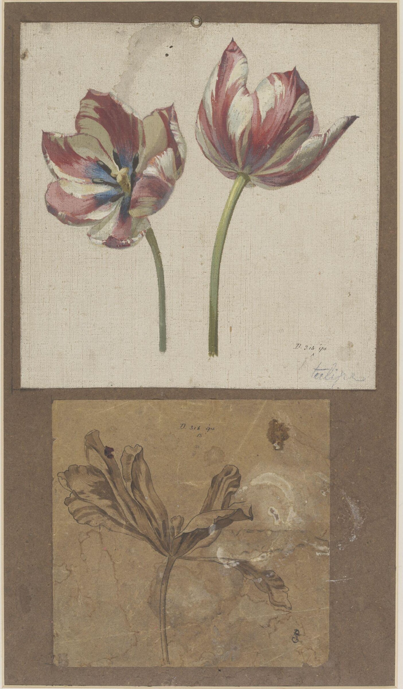 Drawing, Charles Polisch, ca. 1845