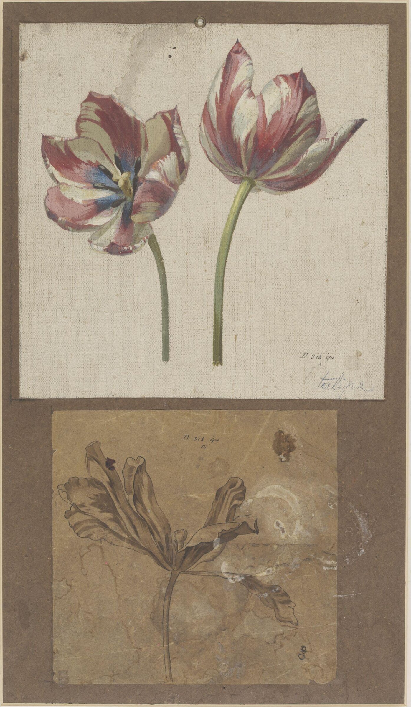 Drawing, Charles Polisch, ca. 1845