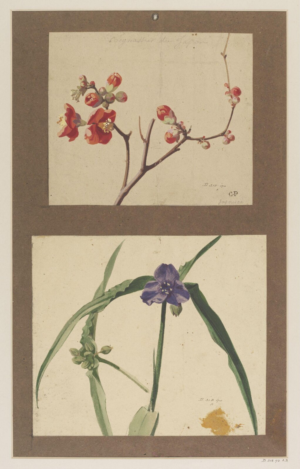 Drawing, Charles Polisch, ca. 1845