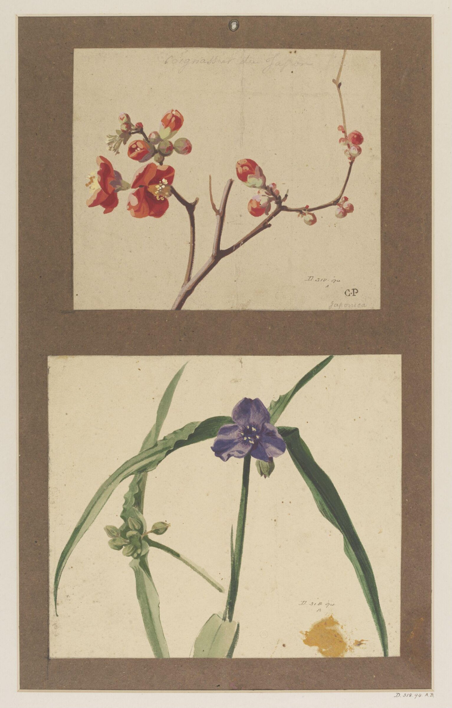 Drawing, Charles Polisch, ca. 1845