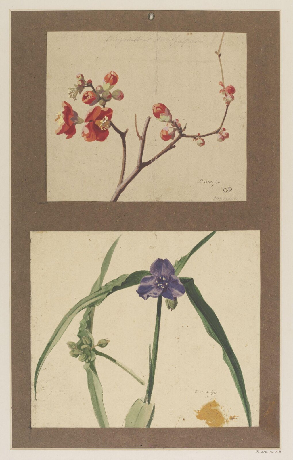 Drawing, Charles Polisch, ca. 1845