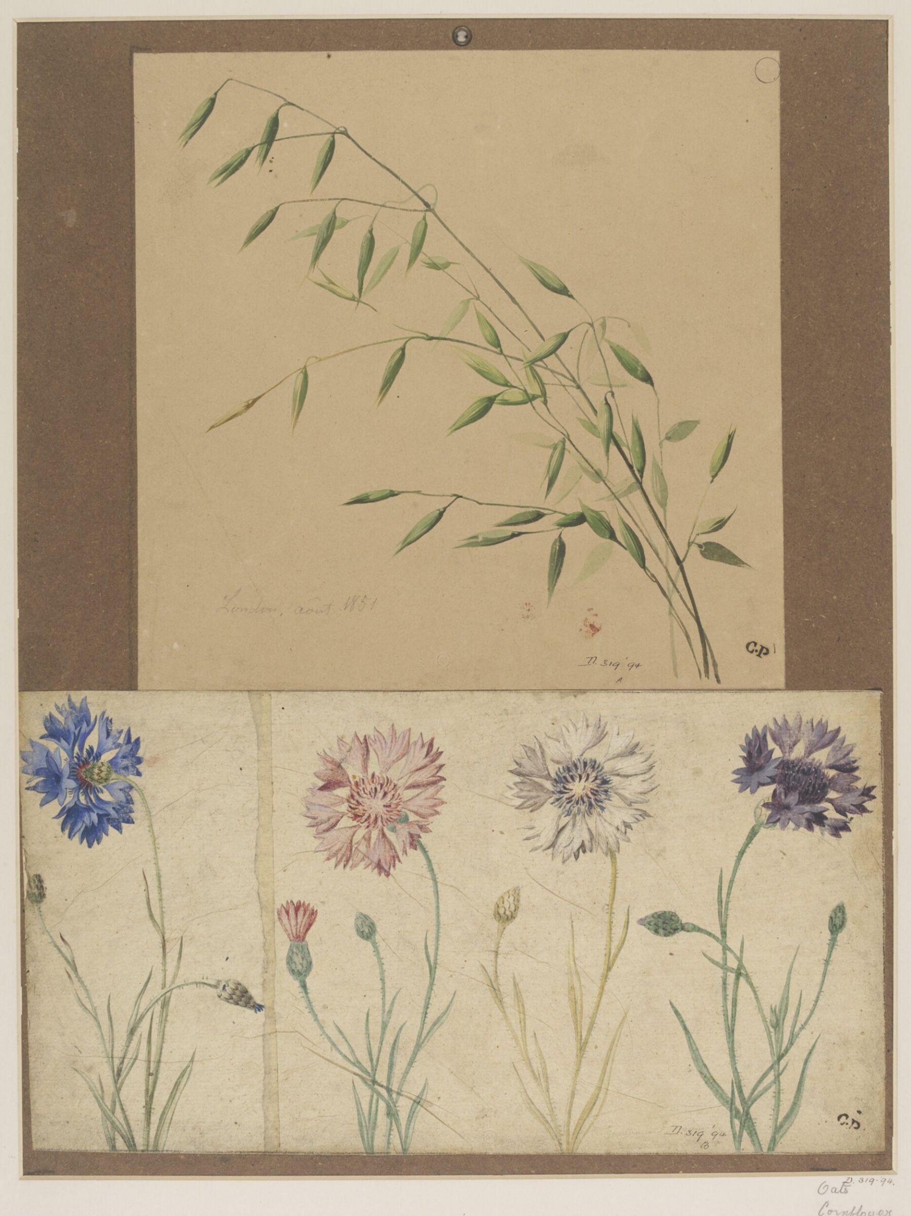 Drawing, Charles Polisch, ca. 1845