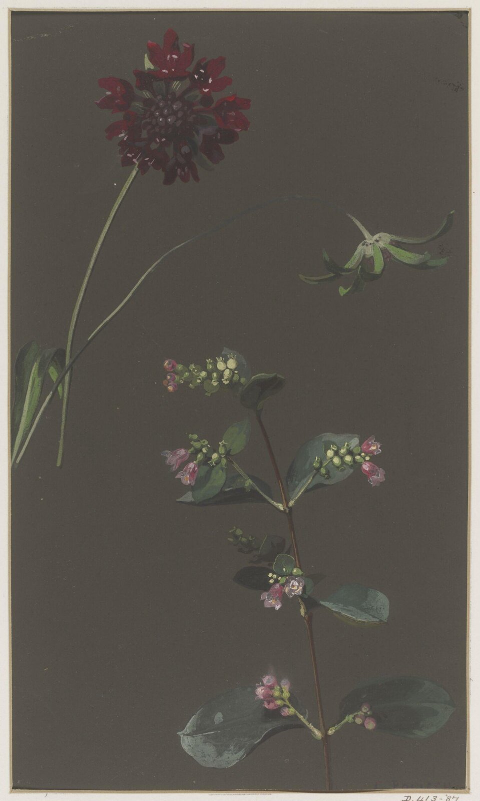 Drawing, Charles Polisch, ca. 1845