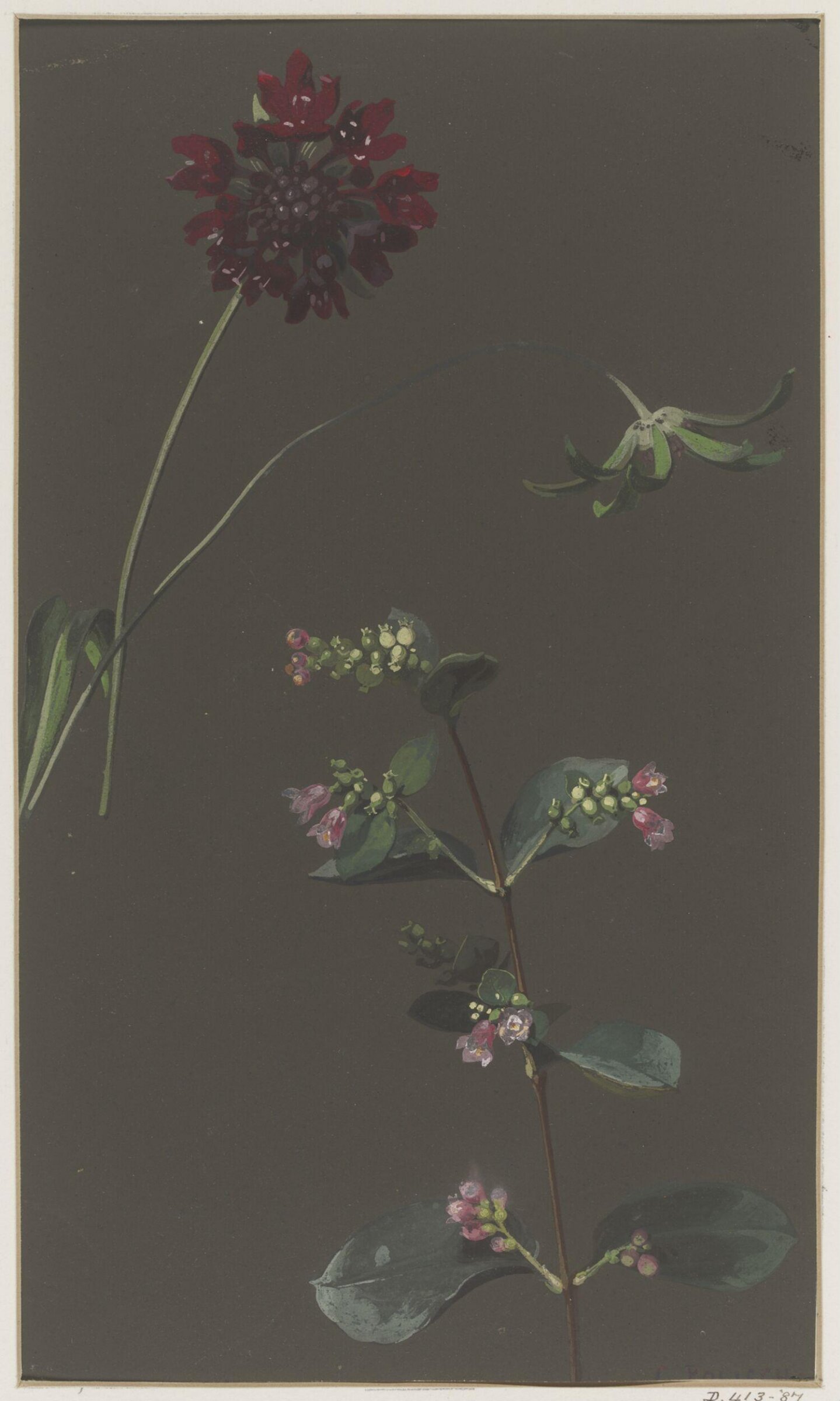 Drawing, Charles Polisch, ca. 1845