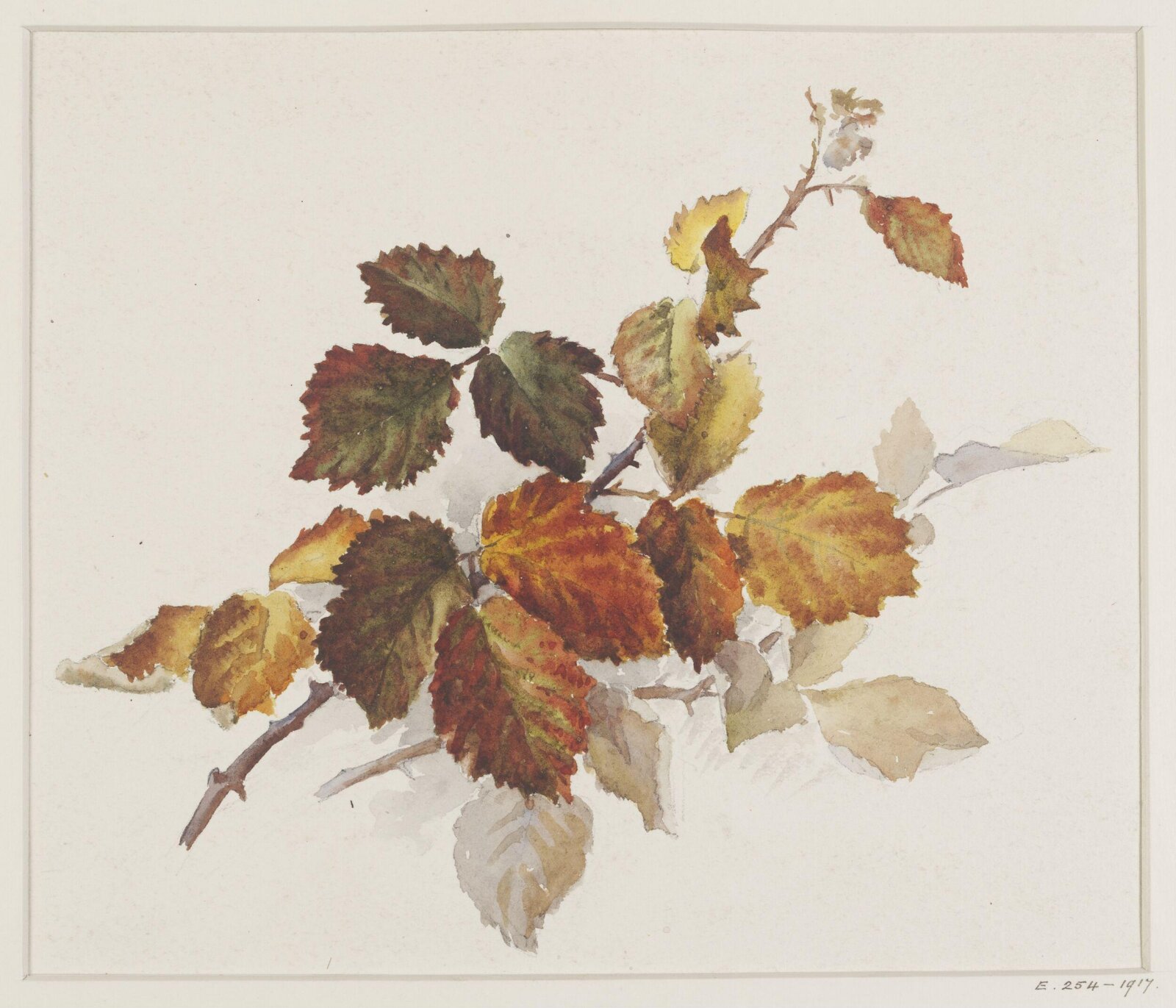 Drawing, Charlotte Horn Spiers, 1873-1914