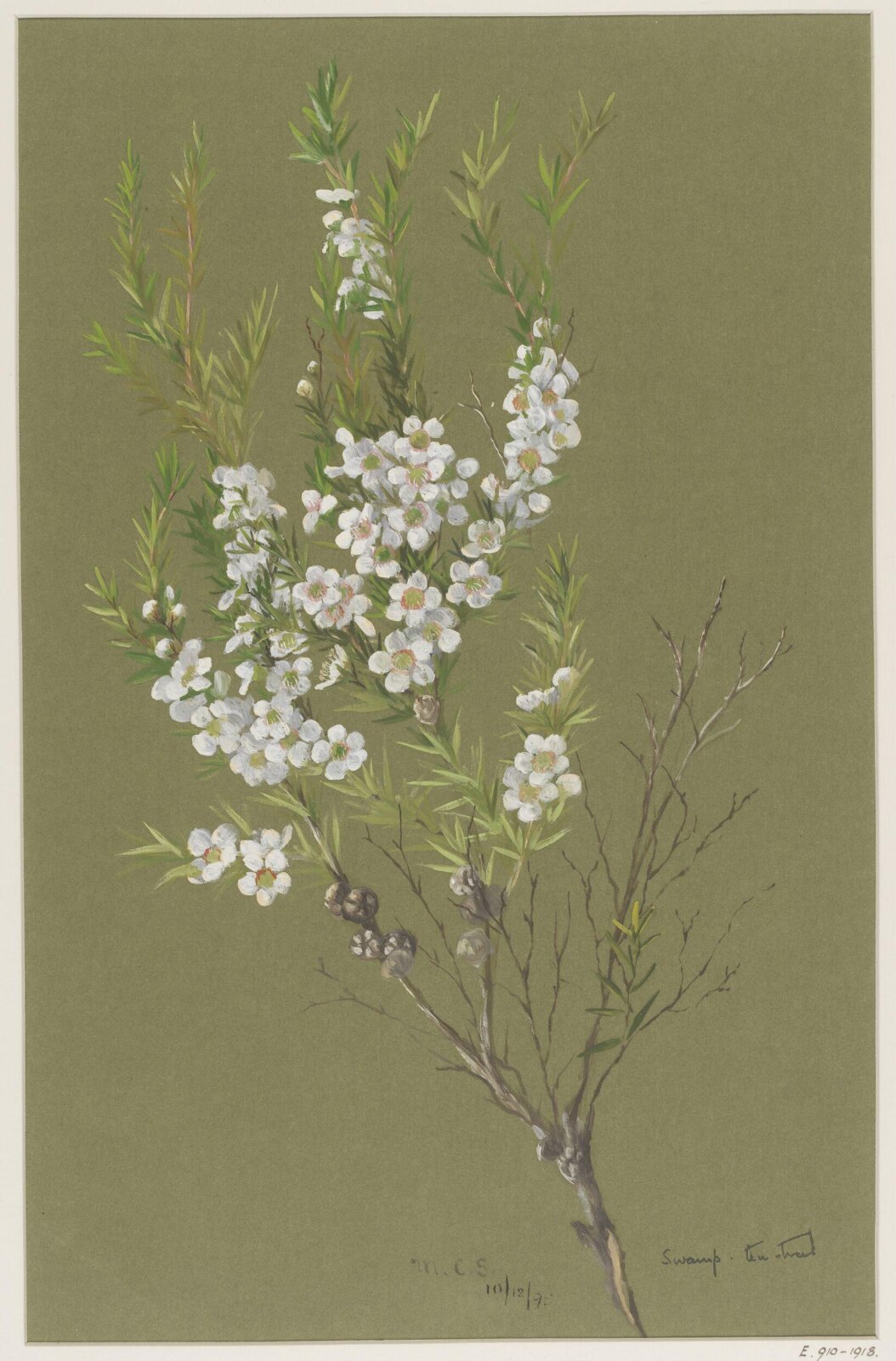 Drawing, 10th December 1898
