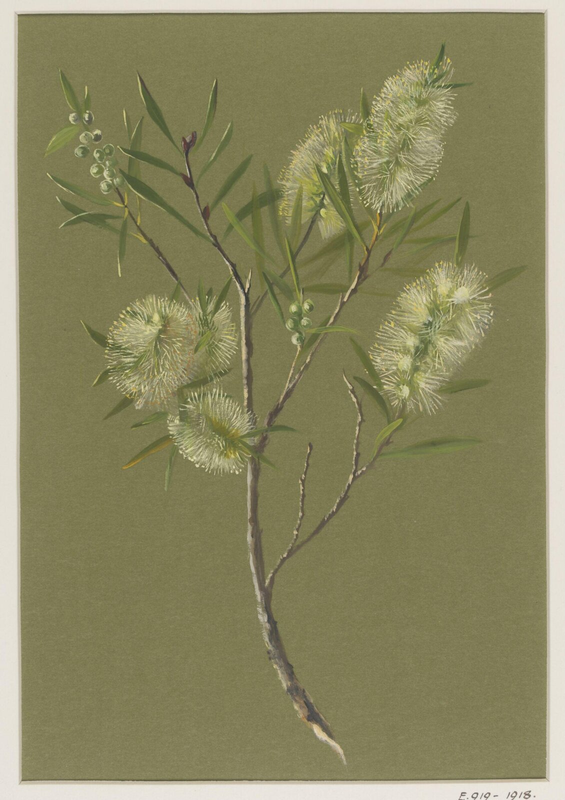 Drawing