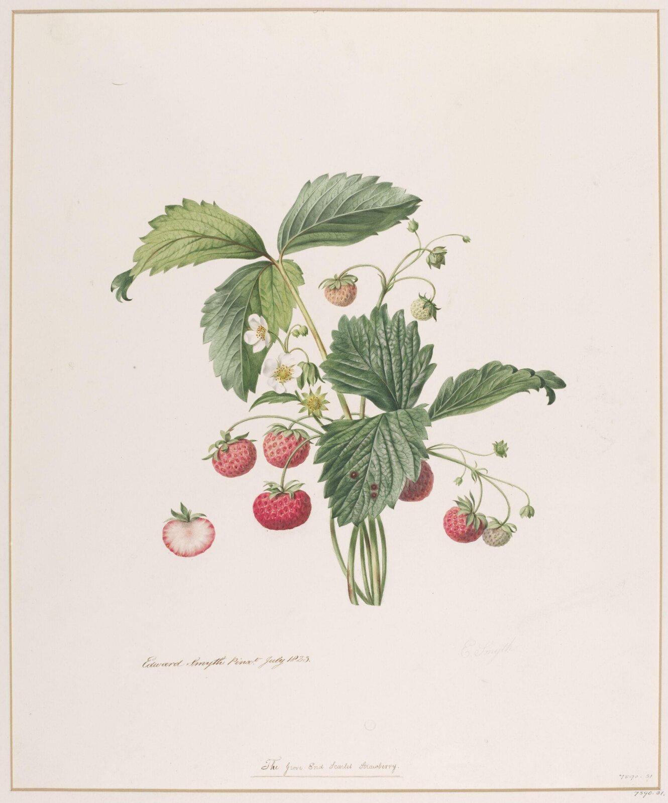 Drawing, 1823