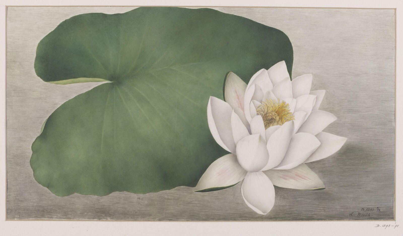 Drawing, 19th century