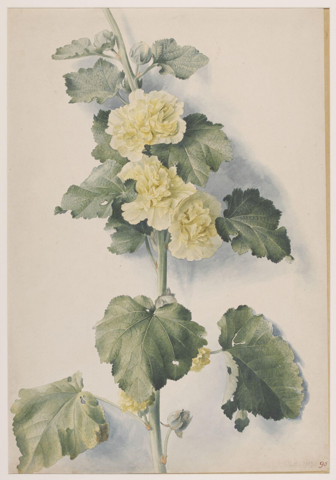 Drawing, James Sillett, 1807