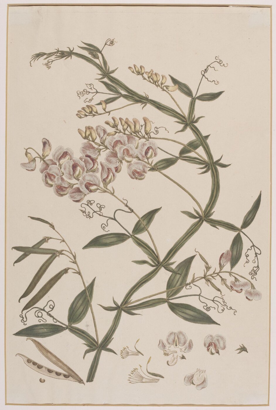 John Miller, Print