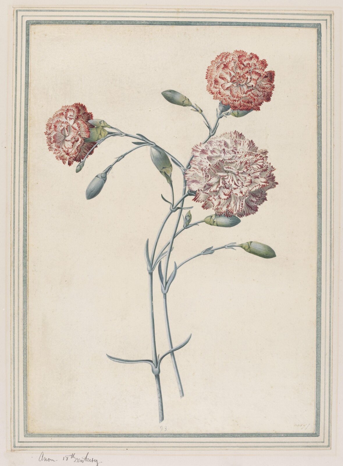 Drawing, Georg Dionysus Ehret, 1708-1770