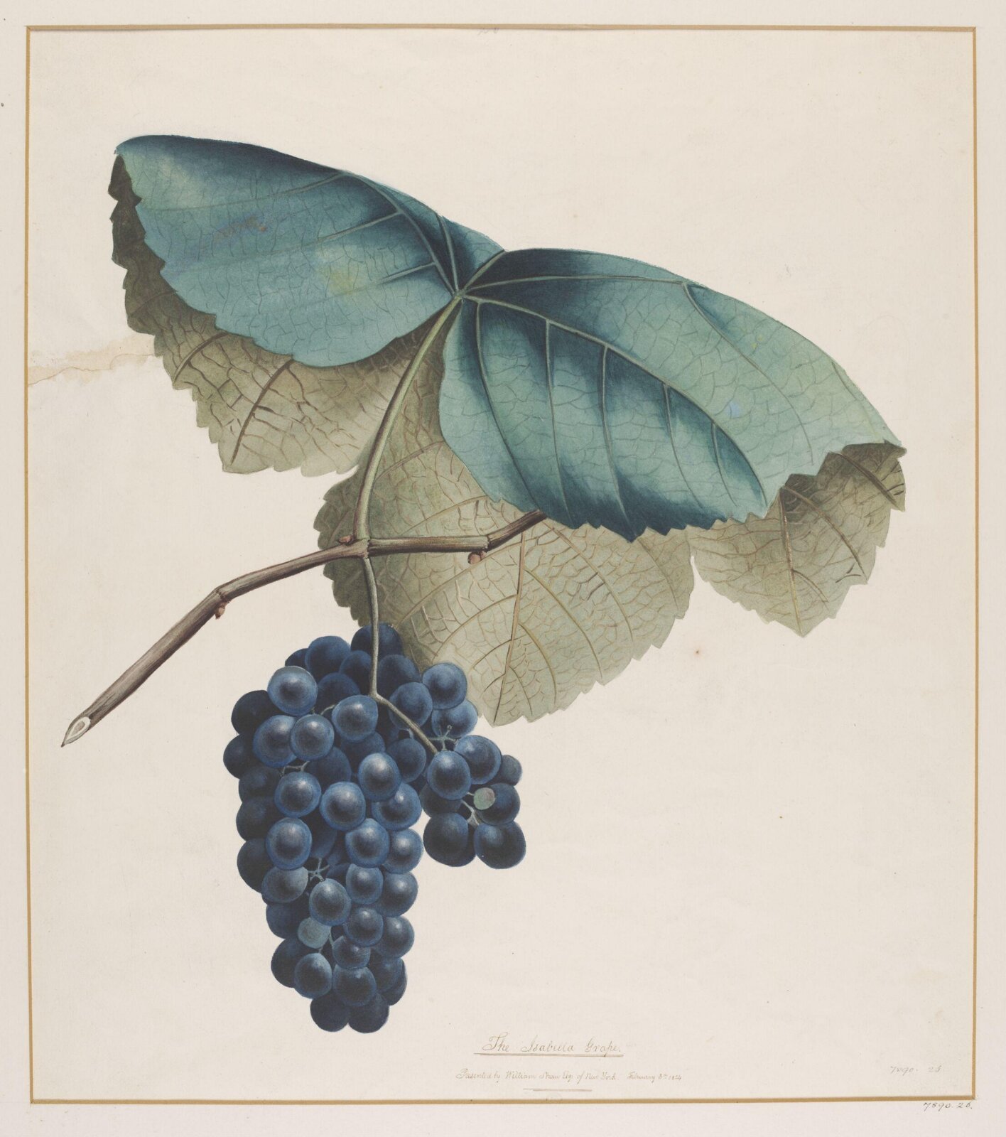 Drawing, ca. 1820
