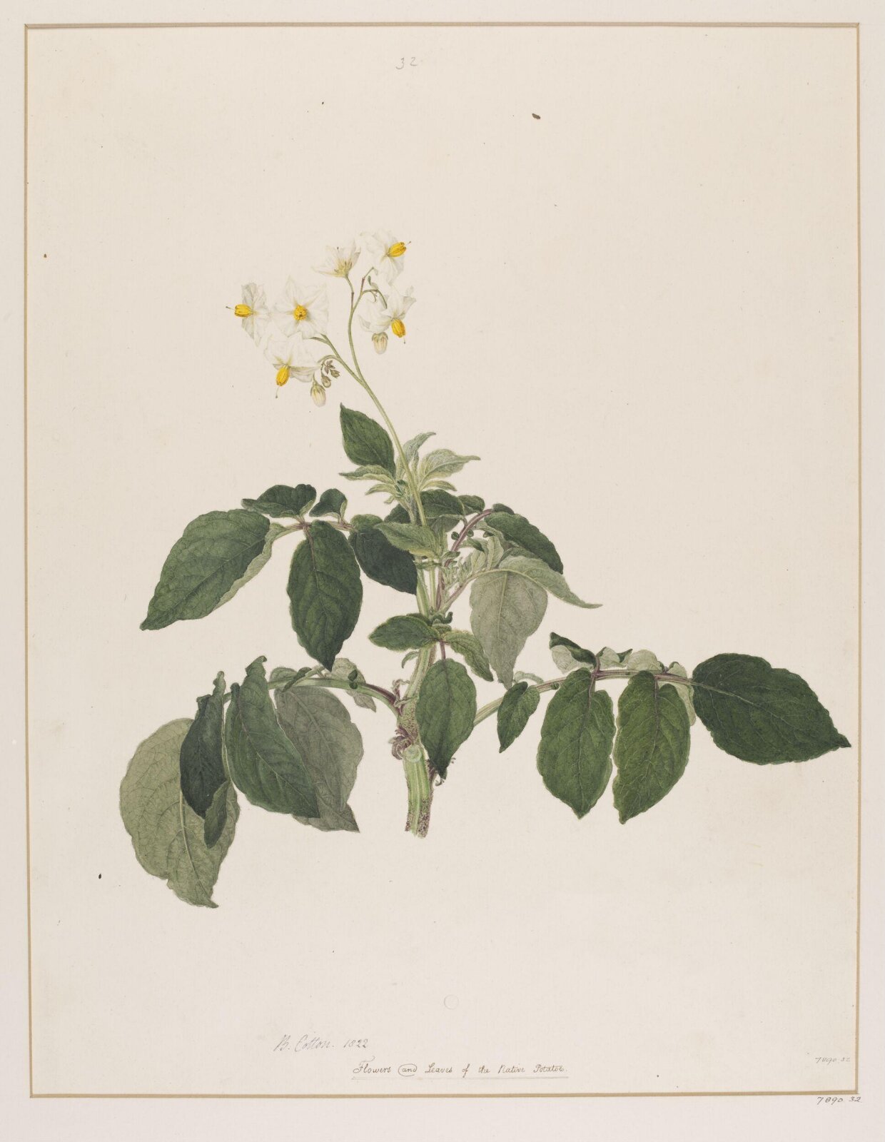 Drawing, 1822