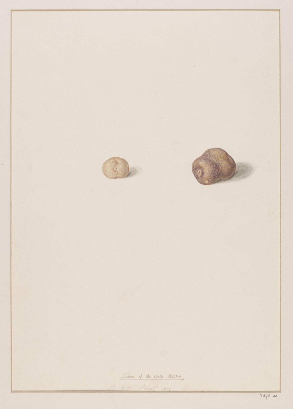 Drawing, 1822