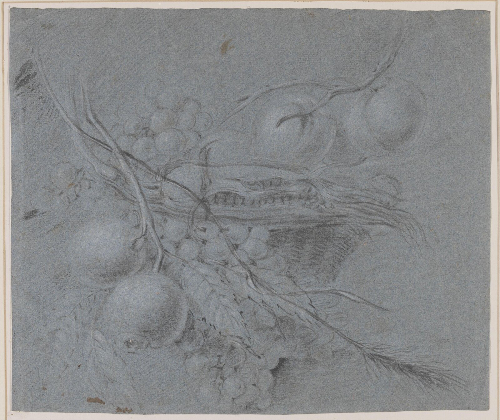Drawing, Jan van Huysum