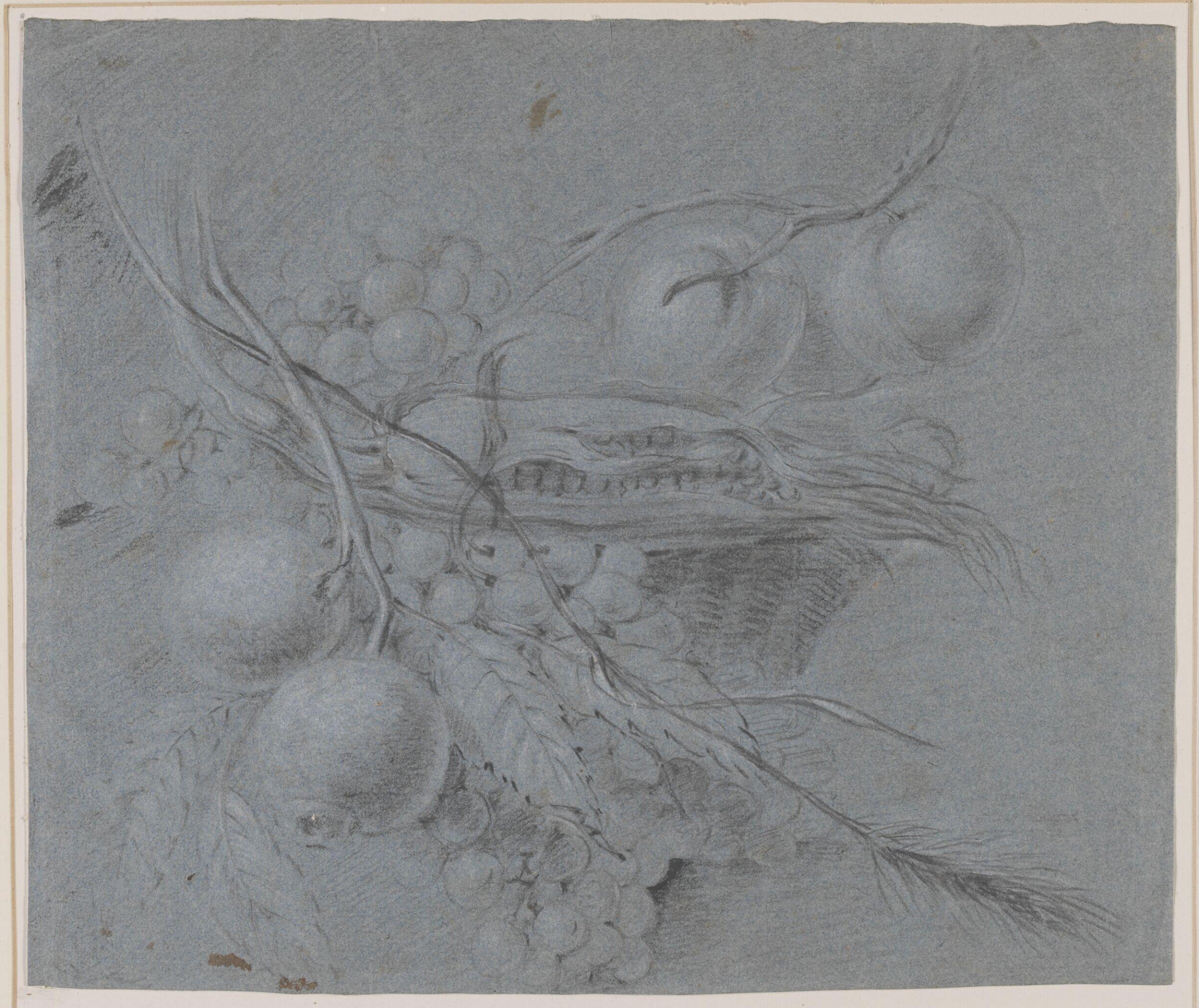 Drawing, Jan van Huysum