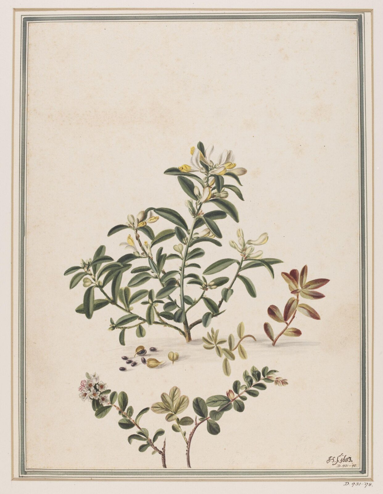 Drawing