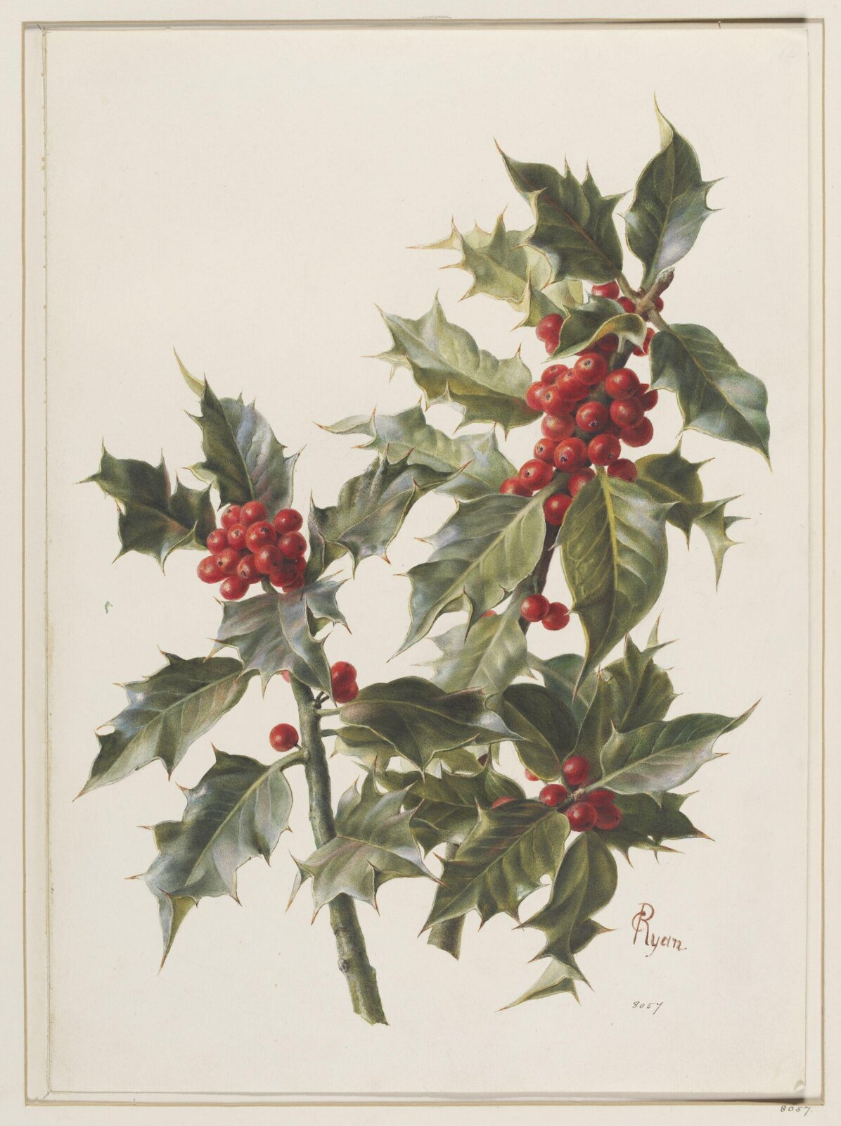 Drawing, 19th century